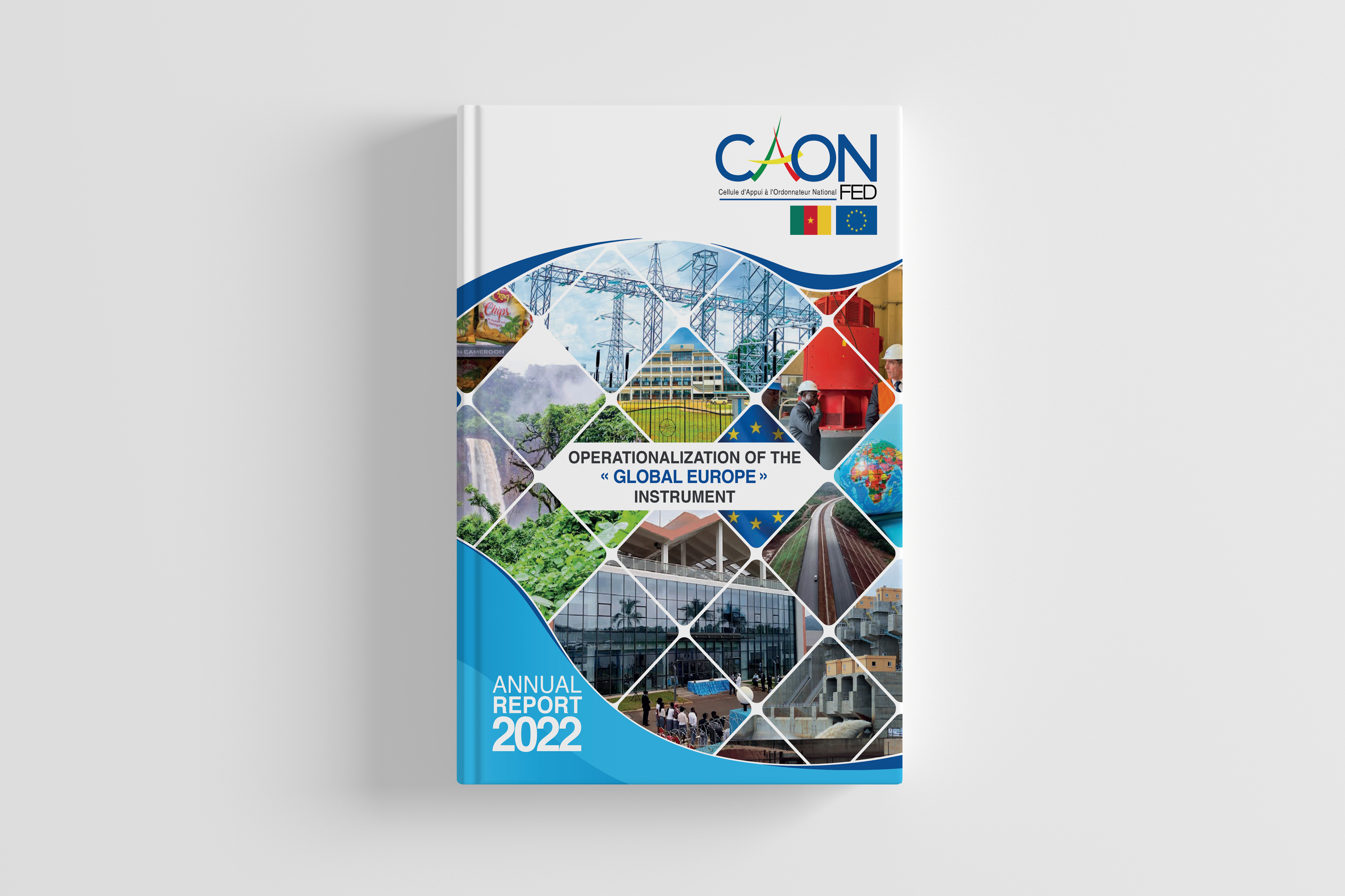 2022 Annual report