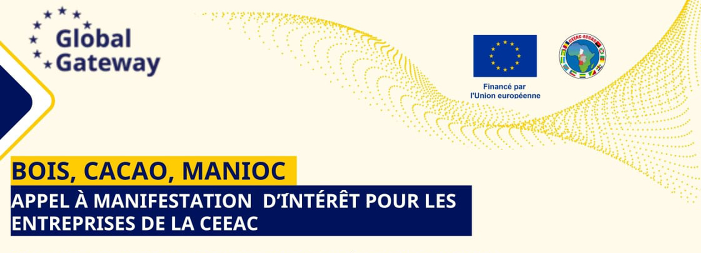 Appel &agrave; manifestation d'int&eacute;r&ecirc;t pour les entreprises de la CEEAC